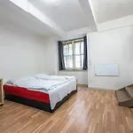 Apartman Dittrichova
